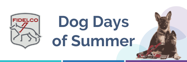 2022 Dog Days Registration Thank You (2).png