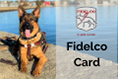 Printed Card: Fidelco Card